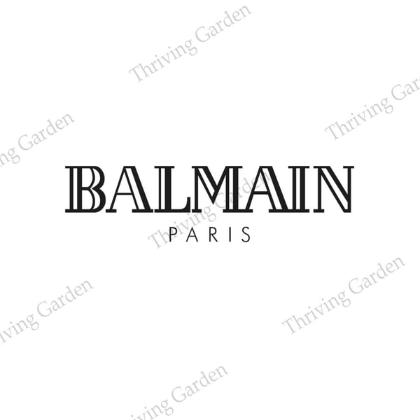 Balmain Logo SVG, Balmain Paris SVG, Paris SVG, Balmain SVG, | Inspire ...