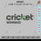 Cricket Embroidery.jpg