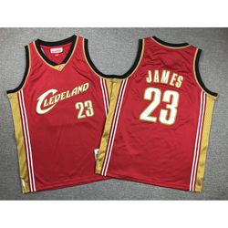 Youth Cleveland Cavaliers LeBron James Red Jersey