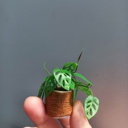 Miniature Monstera Adasonii made from clay
