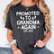 Grandma Again Shirt, Promoted To Grandma, Grandma Est 2023, Pregnancy Reveal, Grandparent Again, Grandma To Be Shirt, Grandmother Sweatshirt.jpg