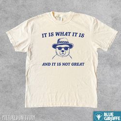 it is what it is and it is not great funny shirt, vintage t shirt, meme t shirt, funny gifts for friends, retro shirt, c