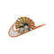 MR-honeydew-fresh-td040324ht206-64202492846.jpeg