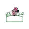 MR-honeydew-fresh-td280224ht89-104202413541.jpeg