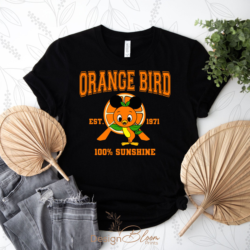 Epcot Orange Bird PNGOrange BirdBack FrontEpcot Flower Festival Epcot Garden Festival 2025 Orange B 3