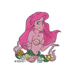 beauty princess ariel embroidery