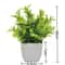 Artificial Greenery In Plastic Pots Perfect Home And Office Decor For Living Room Bedroom And Desk 5