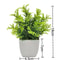 Artificial Greenery In Plastic Pots Perfect Home And Office Decor For Living Room Bedroom And Desk 5