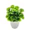 Artificial Greenery In Plastic Pots Perfect Home And Office Decor For Living Room Bedroom And Desk 2
