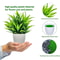 Artificial Greenery In Plastic Pots Perfect Home And Office Decor For Living Room Bedroom And Desk 4