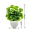 Artificial Greenery In Plastic Pots Perfect Home And Office Decor For Living Room Bedroom And Desk 8