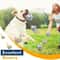 Durable Interactive Dog Toy Teeth Grinding Chew Ball For Dogs Pet Toy Accessory 2