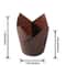 Tulip Baking Paper Cups OilProof HighTemp Resistant Disposable Cup For Muffins Cupcakes 5