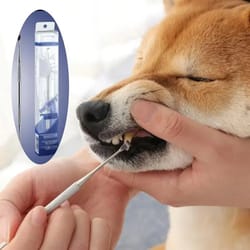 stainless steel pet tooth scraper – tartar remover & breath freshener for dogs and puppies