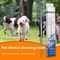 Stainless Steel Pet Tooth Scraper Tartar Remover Breath Freshener For Dogs And Puppies 1