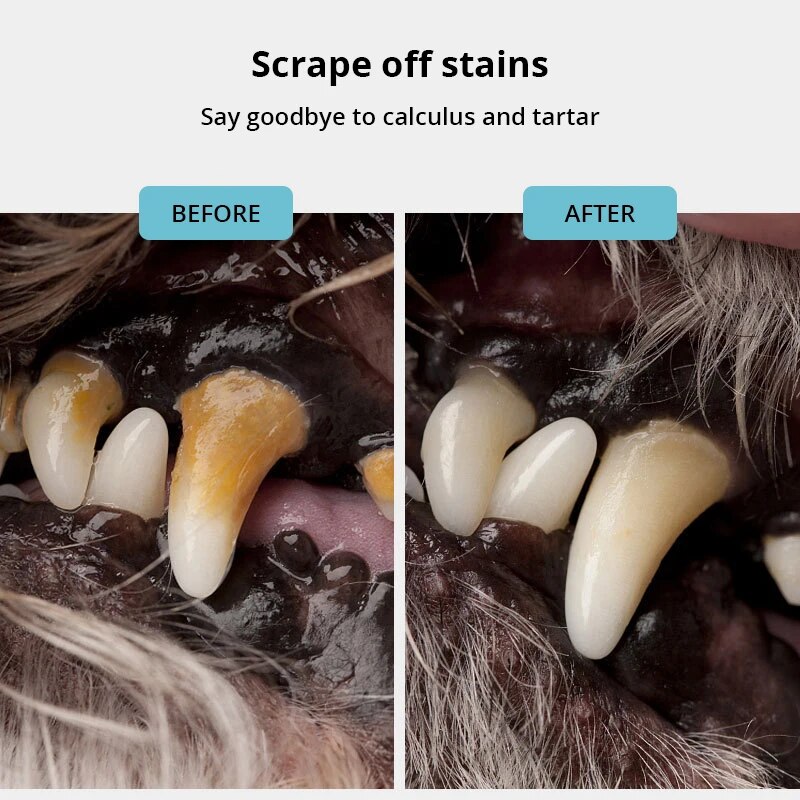 Stainless Steel Pet Tooth Scraper Tartar Remover Breath Freshener For Dogs And Puppies 2