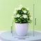 Artificial Five Leaf Plum Potted Plant IndoorOutdoor Decorative Faux Plant For Home Office Garden 3