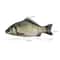 Creative Simulated Fish Pen Bag Quirky Crucian Carp Stationery Case 3
