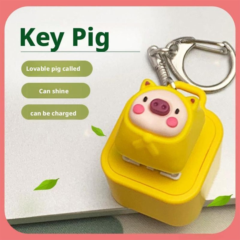 Frog Pig Or Dog Fidget Toy Keychain With Colorful Lights Rechargeable Stress Reliever And Sensory 2