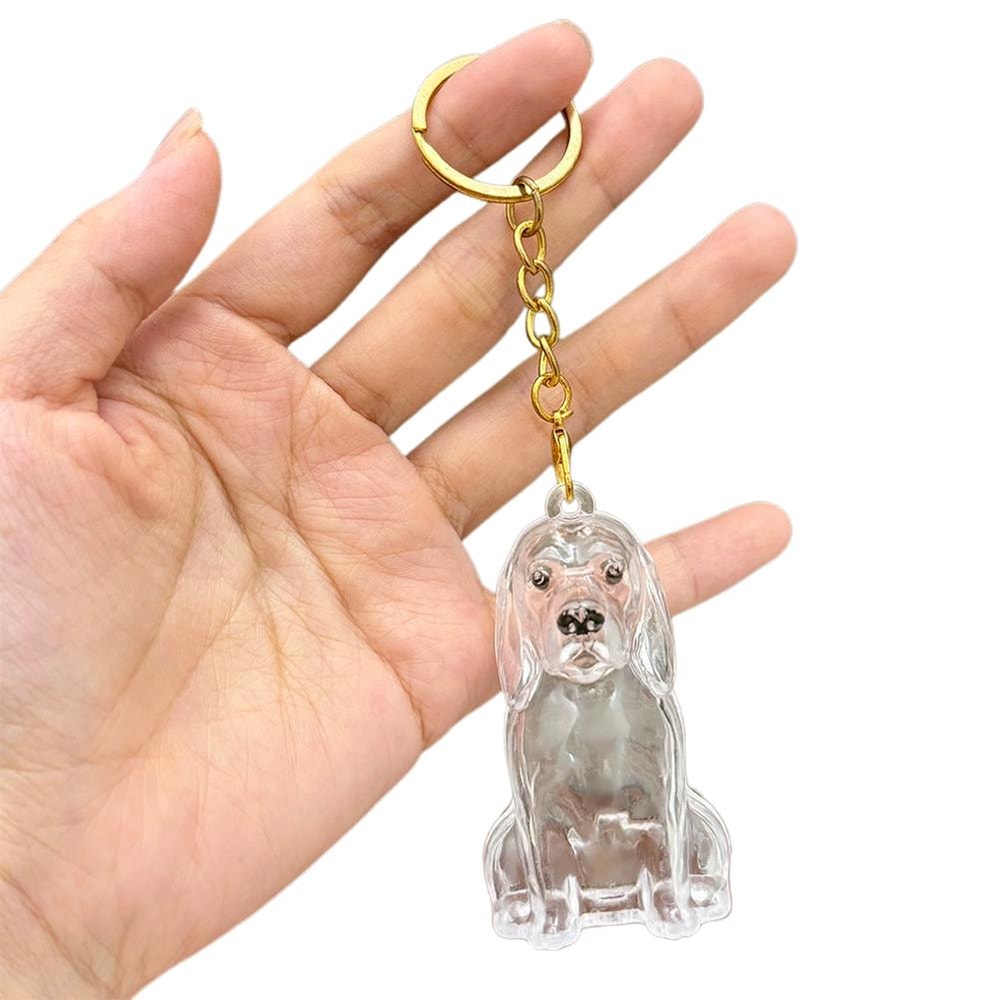 Dog Hair Collection Keychain Charm Memorial Pet Hair Storage Box For Keepsakes 3