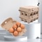 Reusable Cardboard Egg Cartons For Safe Fresh Storage Bulk Pack EcoFriendly And Durable 0