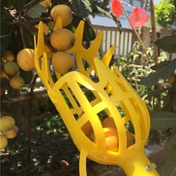 yellow polypropylene fruit picker – lightweight, reusable ergonomic tool for garden harvesting, orchard & farm use