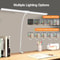 LED Desk Lamp With Stepless Dimmable Light Adjustable Gooseneck DoubleSingle Head Architect Desk 3