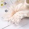 Big Spring Hair Claw Clips For Women Metal Chiffon Flowers Ponytail Holder Hairpin Barrettes 5