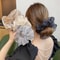 Elegant Pearlescent Double Layer Hair Circle For Women Fashion Mesh Headrope Party Hair Accessory 1
