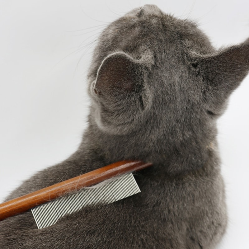 Pet Hair Comb for Cats & Dogs - Stainless Steel Needle Comb to Remove Floating Hair & Open Knots