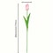 Set Of Realistic Artificial Tulips For Home And Anniversary Decoration 2