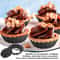 Mini Tart Pans With Removable Bottom NonStick Egg Tart Mold Set 5
