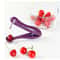 Portable Cherry Fruit Pitter Remover Easy And Efficient Cherry Pitter Tool 0