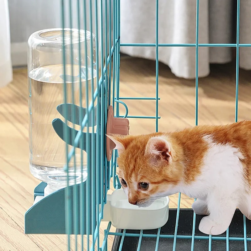 Automatic Bird Water Dispenser For Parrot Feeding Cage Transparent Parakeet Seed Container Food Di 1