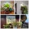 Indoor Full Spectrum Adjustable LED Plant Growth Lamp Telescopic Stand Light For Indoor Plants 5