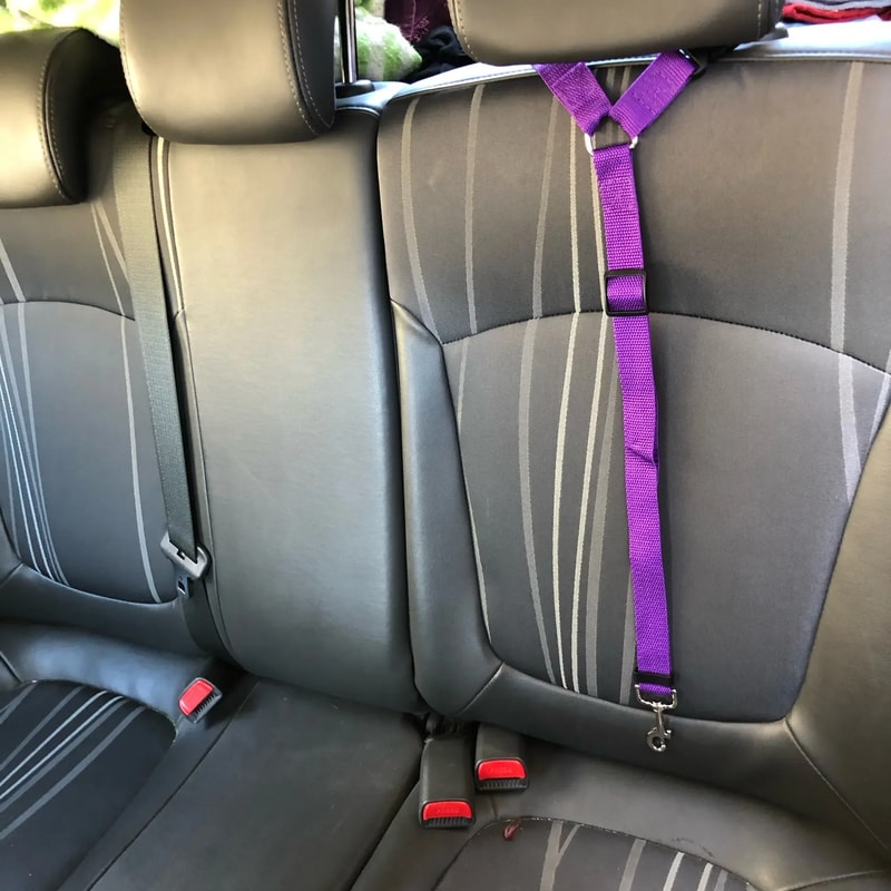 Adjustable Two In One Pet Car Seat Belt Leash For Dogs Cats 1