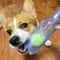 Durable Pet Chew Toy TPR Beer Bottle With Tennis Ball For Dogs 6