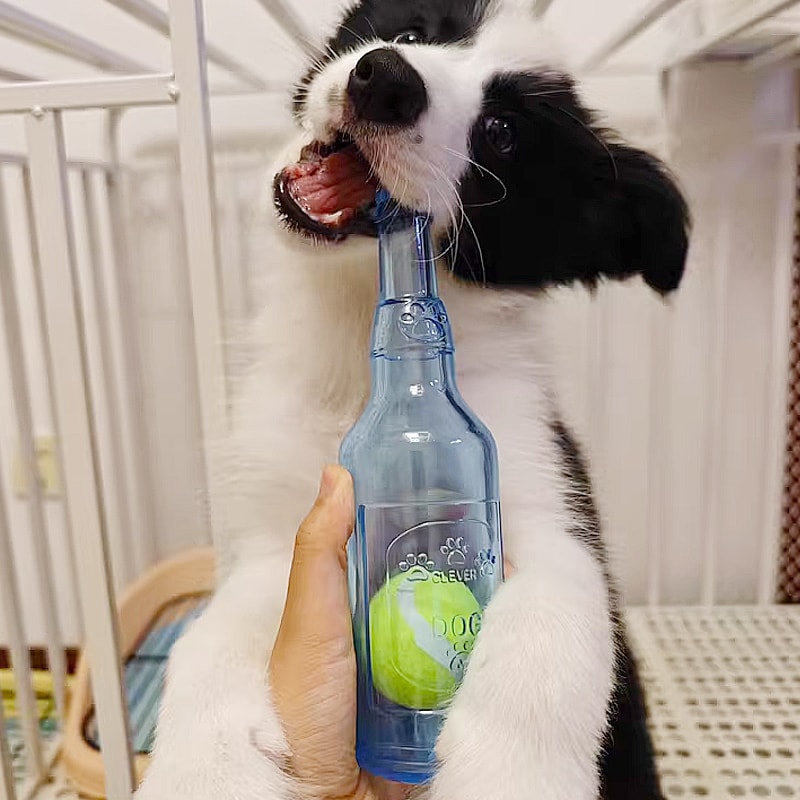 Durable Pet Chew Toy TPR Beer Bottle With Tennis Ball For Dogs 8