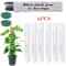 Moss Pole For Plants Indoor Plant Support Stick Climbing Plant Tutor For Growth 5