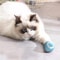 Interactive Cat Toy Ball Self Moving Electronic Rolling Ball For Kitten Training 0