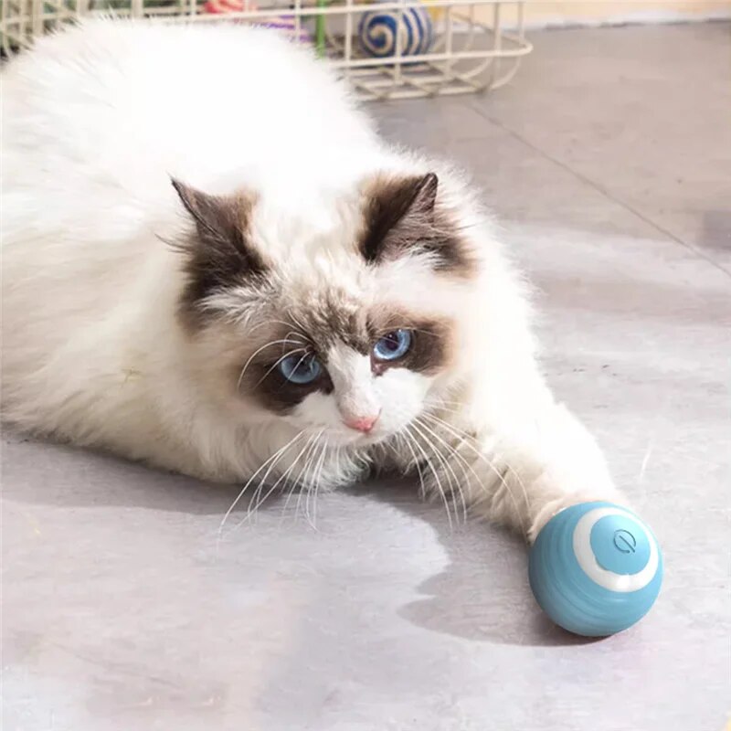 Interactive Cat Toy Ball Self Moving Electronic Rolling Ball For Kitten Training 0