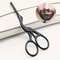 Stainless Steel Nose Hair Scissors Round Head Ergonomic Design For Eyebrows Nose Beard Ear Hair Tr 4