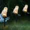 Solar Owl Garden Light Solar Powered LED Outdoor Decoration Lamp Waterproof Solar Garden Lighting 6