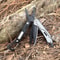 Mini Multitool Survival Knife Pocket EDC Tool With Pliers Saw And Wire Stripper 5
