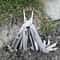 Multitool Pliers Folding Multi Functional Tool With Replaceable Saw Blade Portable EDC Outdoor Equi 5