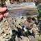 Magnifying Glass Solar Fire Starter Tool Portable Outdoor Survival Multitool for Picnic and Camping