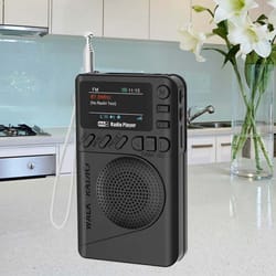 portable dab fm digital radio color screen, mp3 playback, rechargeable battery, pocket sized receiver