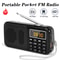 Portable Digital Radio With Music Player And LED Display Rechargeable USB FM TF Slot Speaker 2