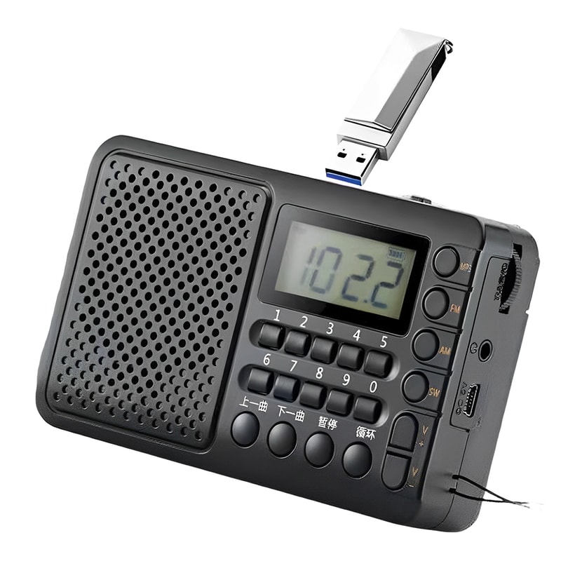Portable Radio With LED Display TF Card USB Music Player For Home Outdoor Use 0