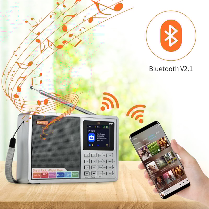 Premium Portable DAB FM Digital Radio With Bluetooth Speaker And Recording 1